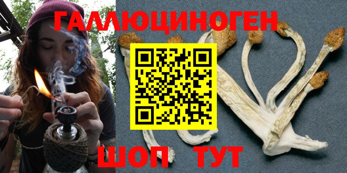 Воронеж  где можно купить наркотик  Вход с VPN  Галлюциногенные грибы мицелий 